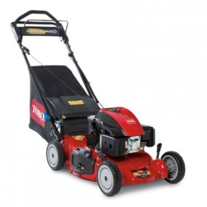 toro model 21381